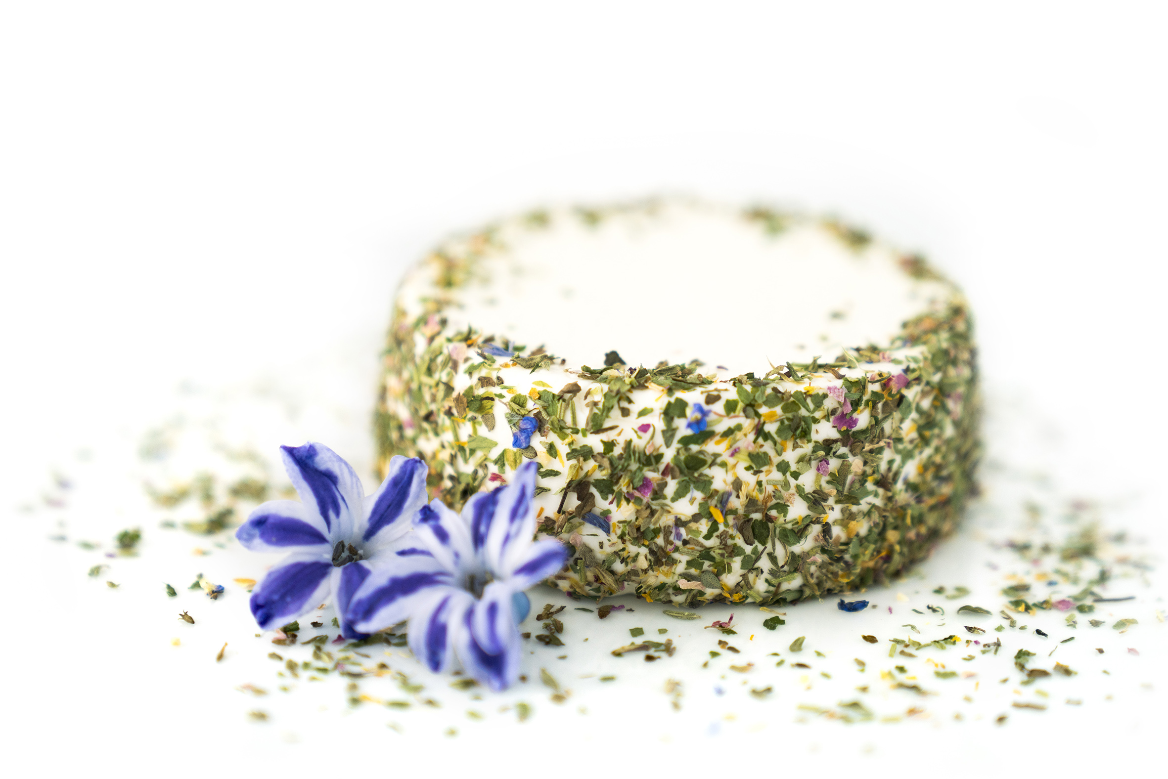 Händler - Grödig - Mattigtaler Käse GmbH