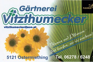 Unternehmen: Gärtnerei Vitzthumecker