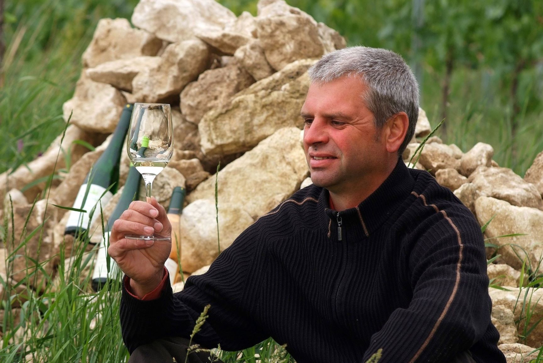 Bio Weingut Josef Salomon Produkt-Beispiele Bio Wein, Saft, Essig, Schaumwein, Likör, Schnaps, Verjus