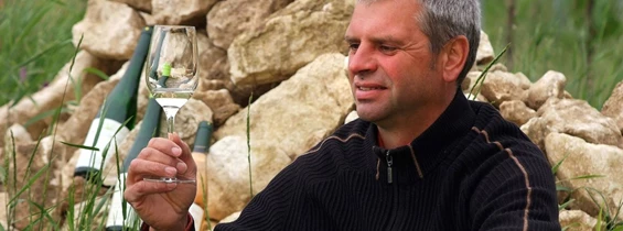 Unternehmen: Josef Salomon - Bio Weingut Josef Salomon