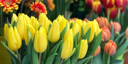 Händler - überwiegend regionale Produkte - Traunviertel - Blumen Putz