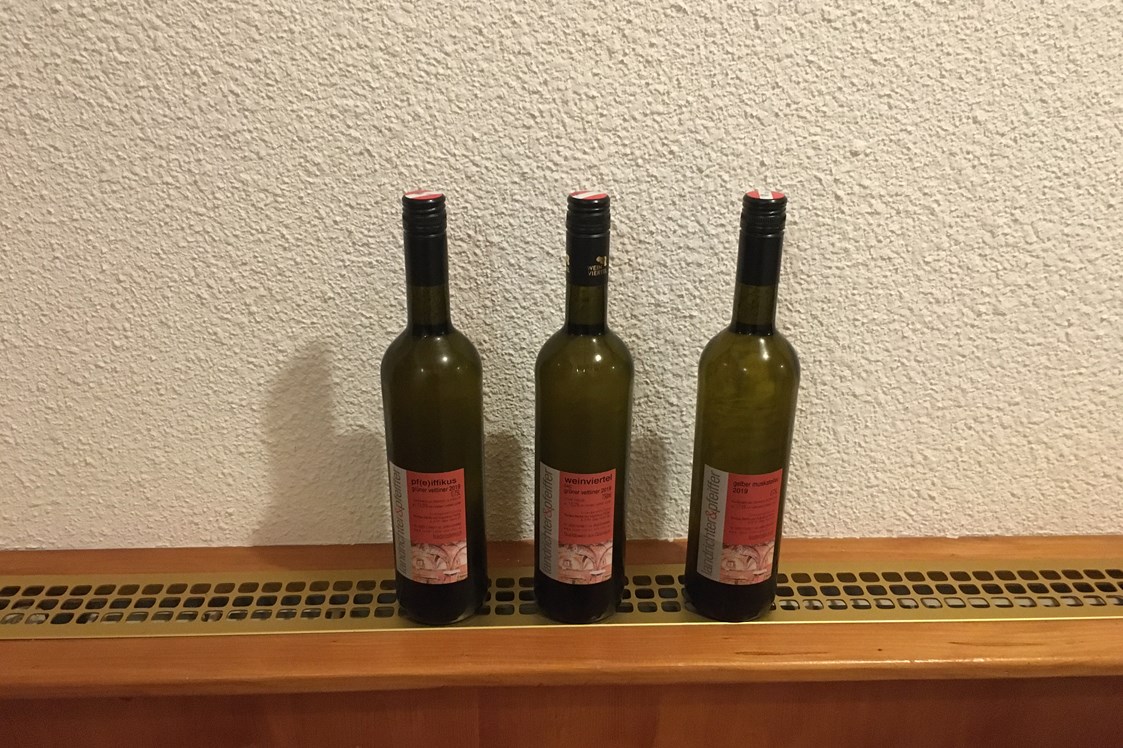 Unternehmen: Weinbau Landrichter u. Pfeiffer